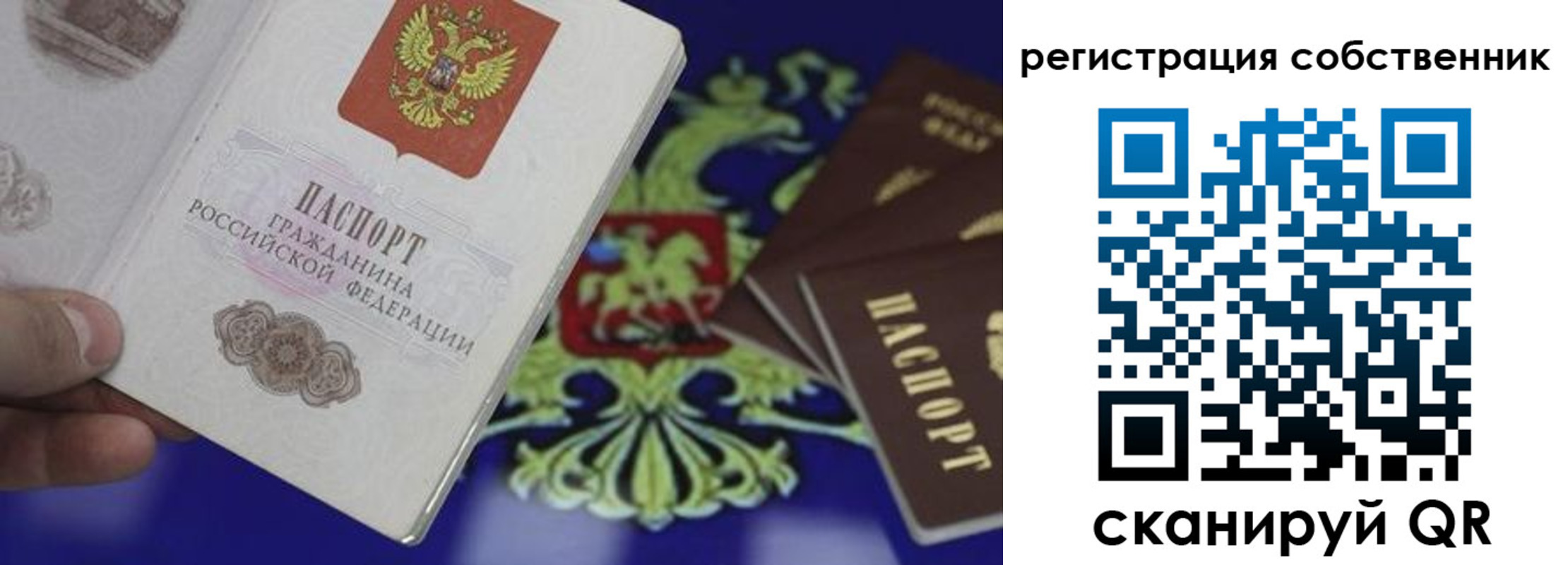 временная регистрация надежно в Светлогорске